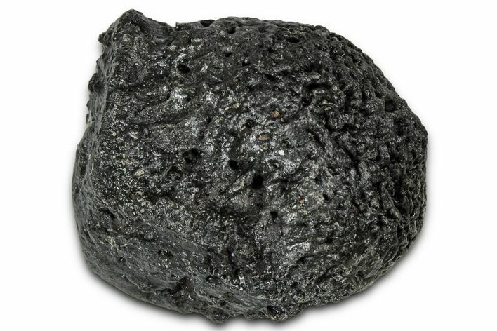 Fossil Glyptodont (Glyptotherium) Bony Armor Osteoderm - Florida #351055